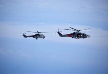 Bilateral Interdisciplinary Search and Rescue Exercise “AETOS”