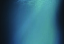 Saab receives order for Sabertooth Saab receives order for Sabertooth