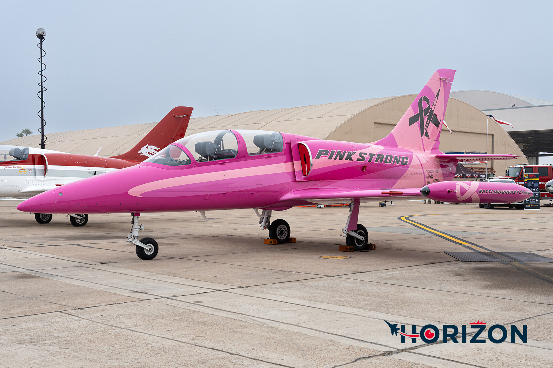 The Pink Jet Aero L-39C Albatros - N368LA