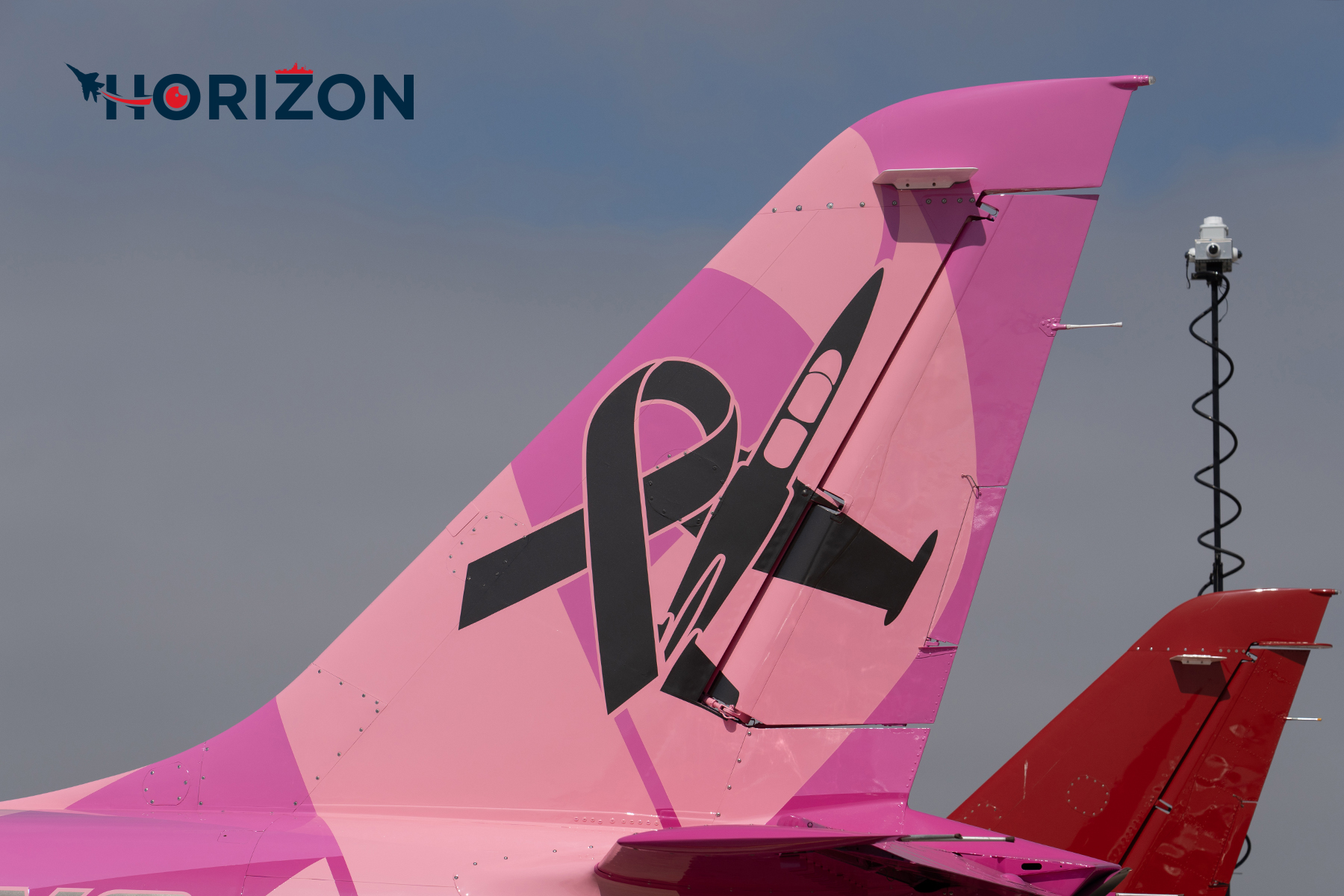 The Pink Jet Aero L-39C Albatros - N368LA