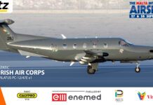 Ireland to participate again at the Malta Airshow Ireland to participate again at the Malta Airshow